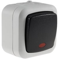 Feuchtraum Serien-Schalter mit Kontroll Lampe IP44 Aufputz 250V 10A Grau